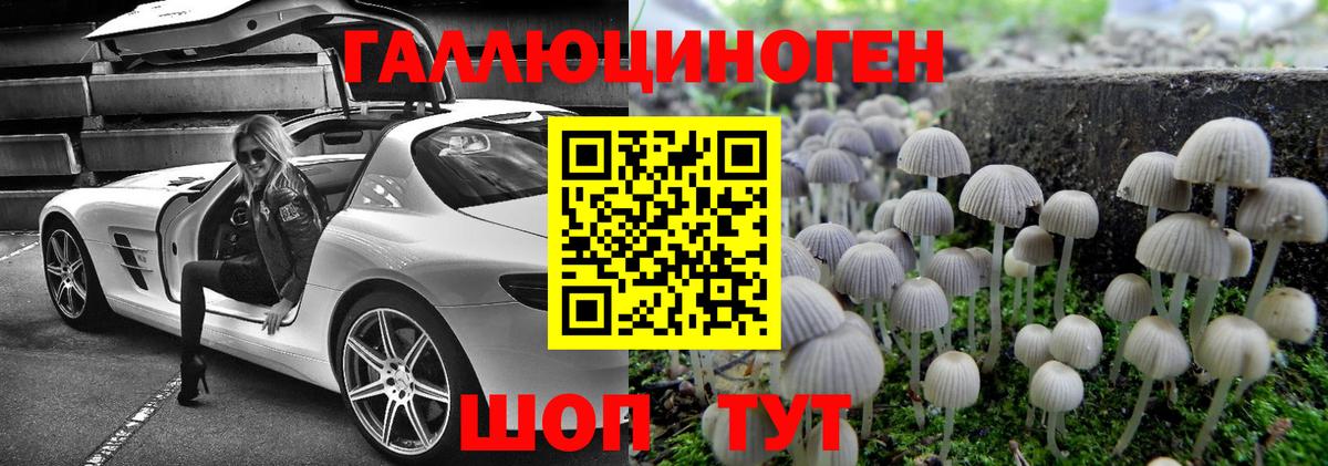Галлюциногенные грибы GOLDEN TEACHER Людиново