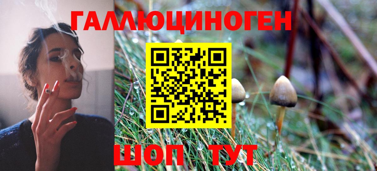 Псилоцибиновые грибы ЛСД  Вход с VPN  Людиново  Галлюциногенные грибы GOLDEN TEACHER 